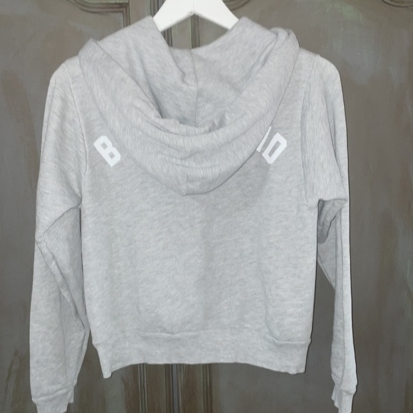 WILDFOX 💋🦊 Bridesmaid Regan gray NWT Hoodie only - Picture 9 of 15